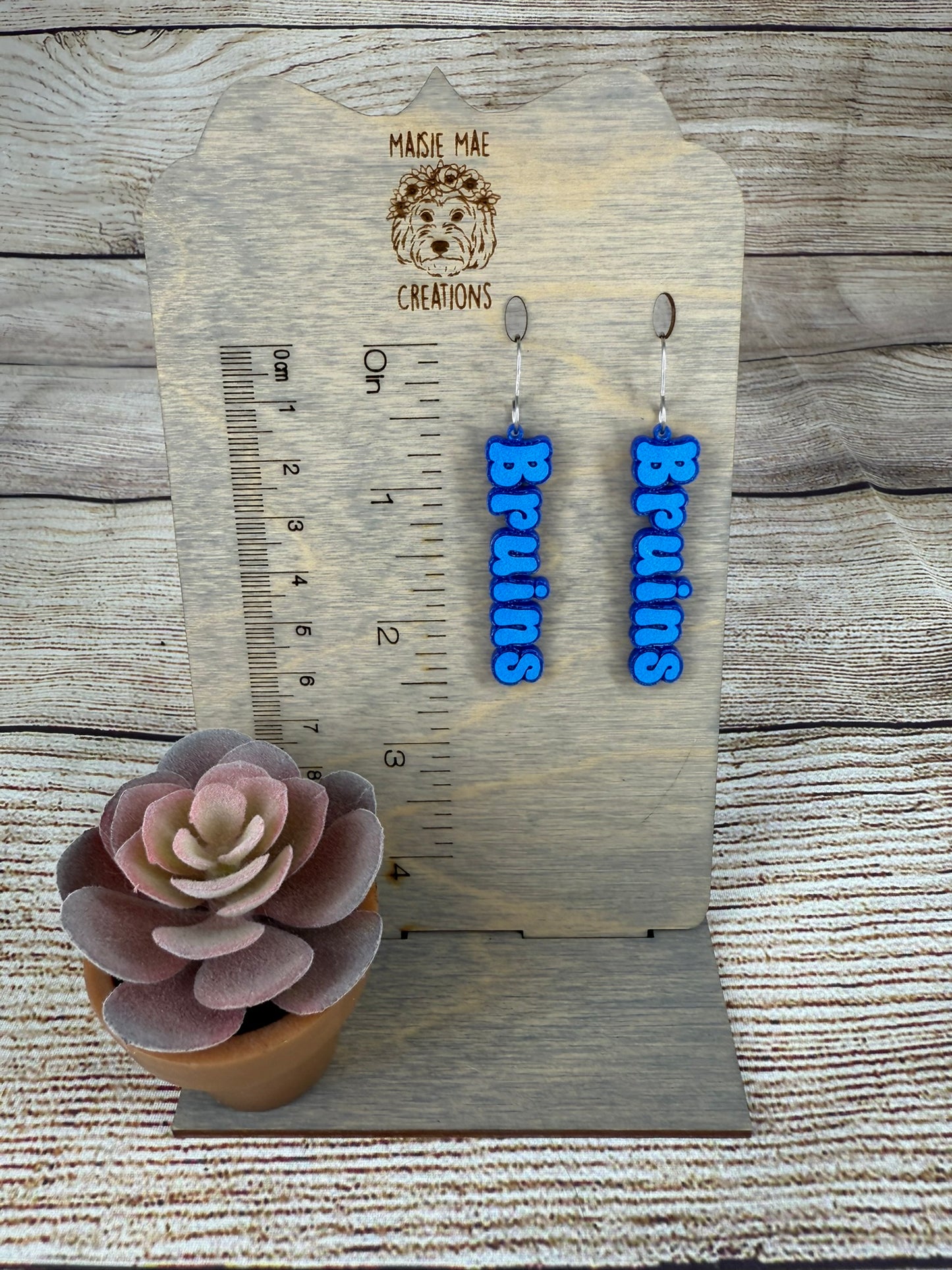 School Earrings