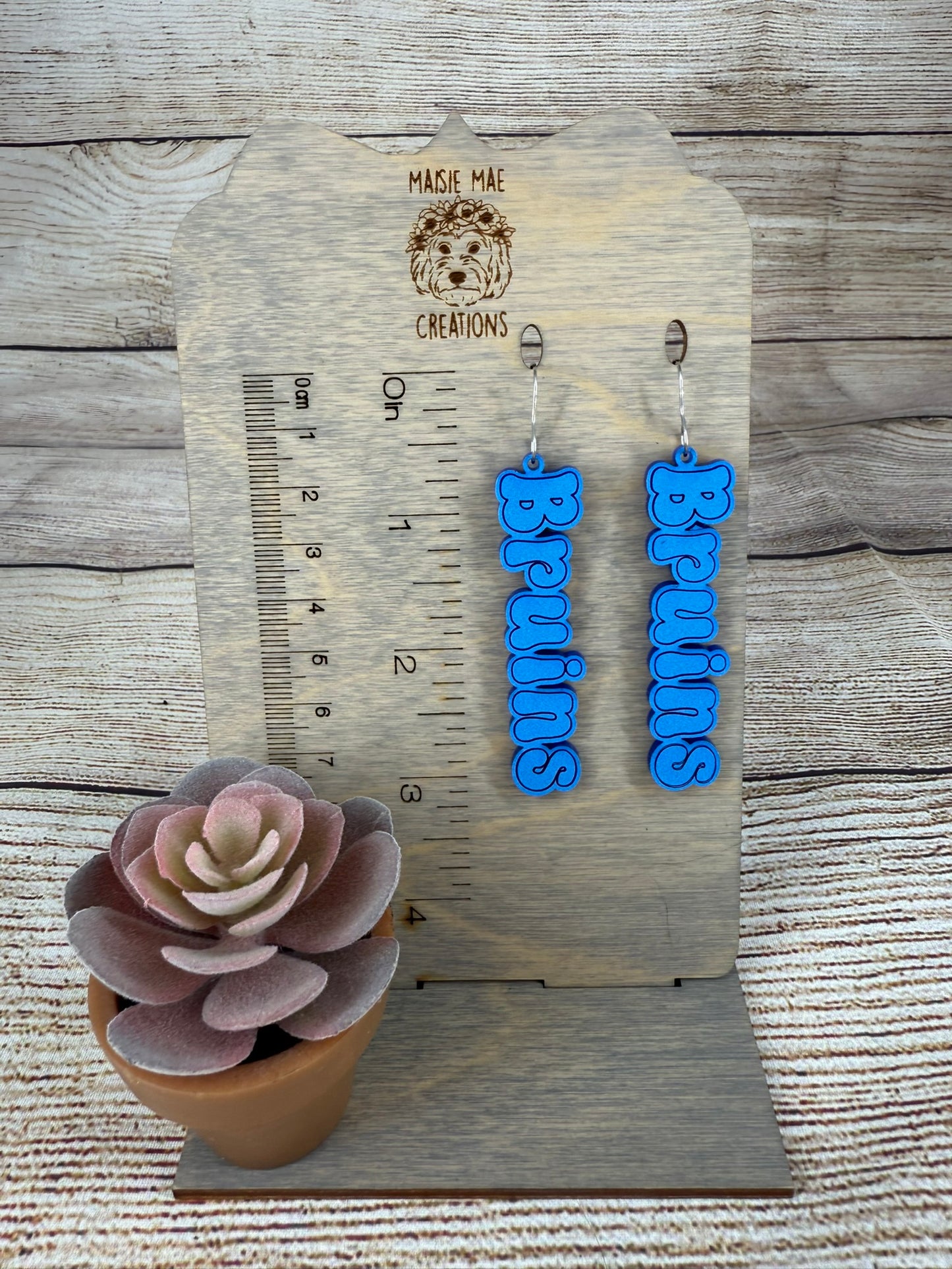 School Earrings
