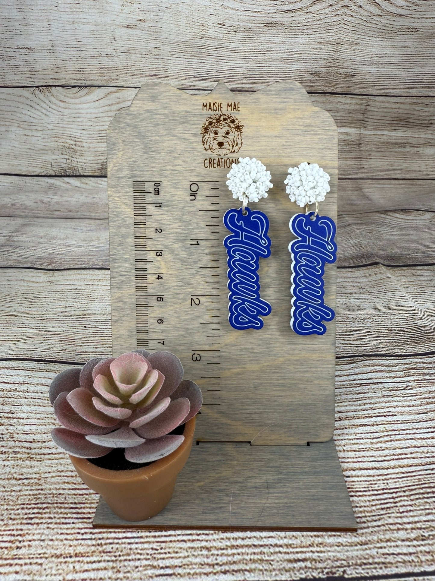 School Earrings