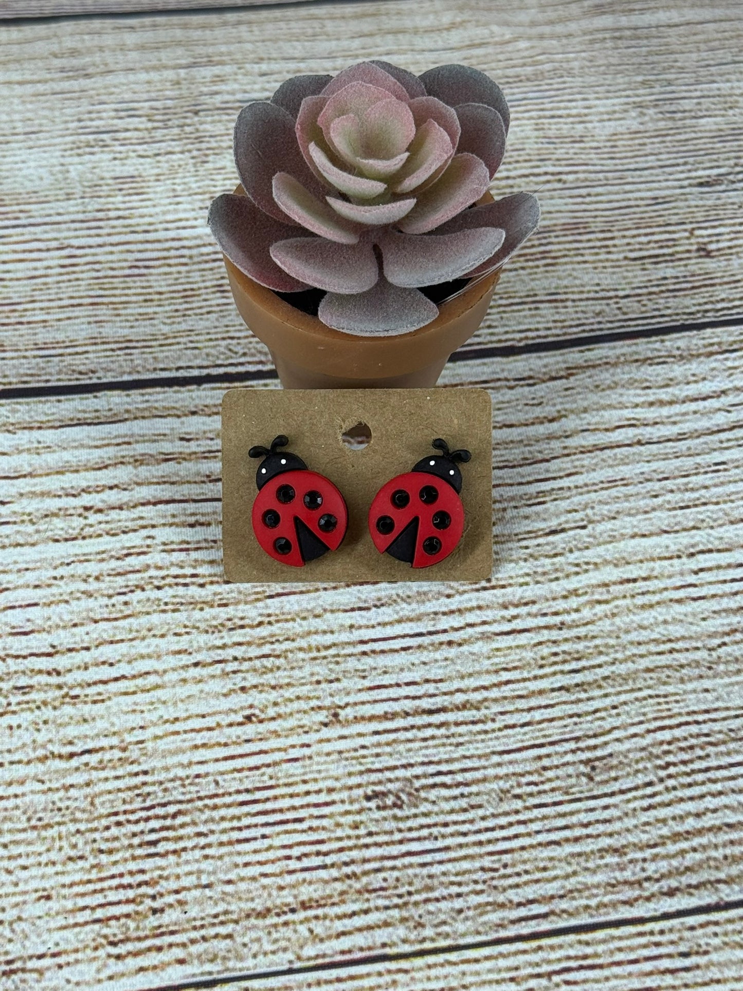Ladybug Posts