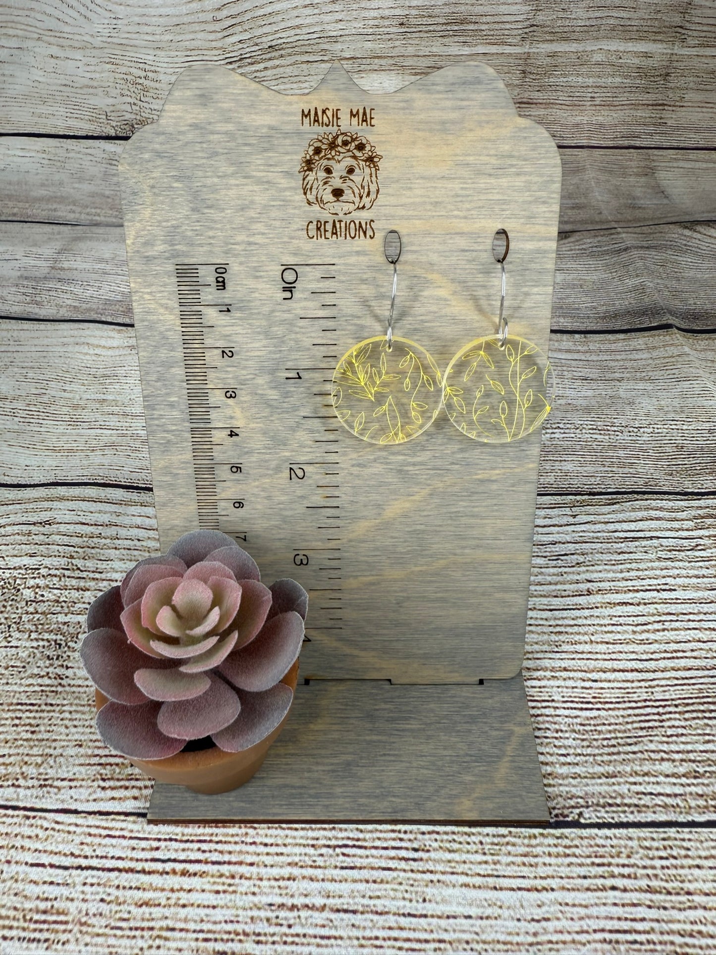 Acrylic Circles Small
